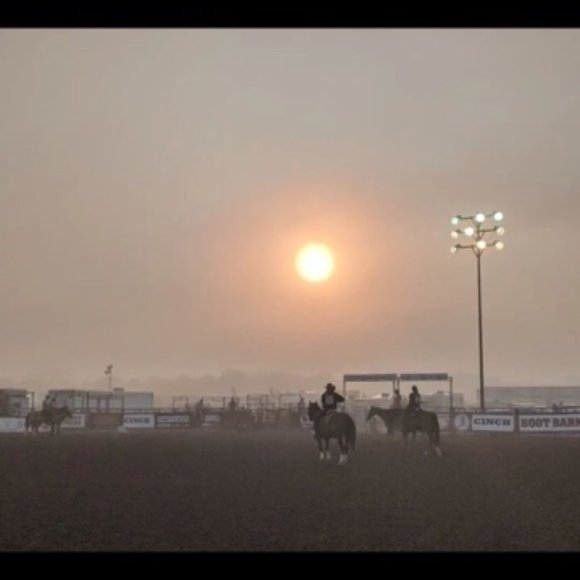 Meet your Posher, GG - Picture 4 of 11